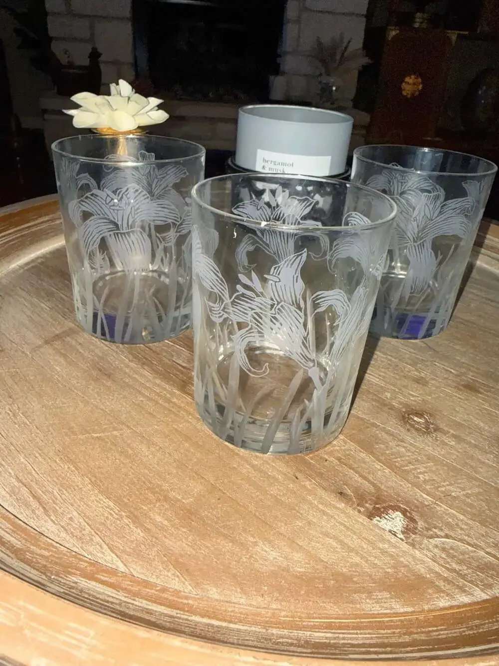 Vintage Tastesetter by Sigma Frosted Etched Lily Barware Glasses Set of 3